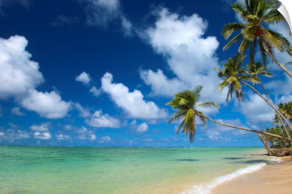 Serene scene of a sandy beach and clear tropical ocean water under a sky filled with clouds.