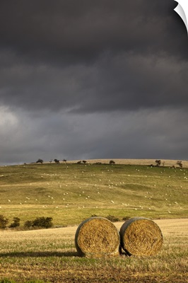 Hay Bales In A Field Under A Dark Cloudy Sky; Northumberland, England