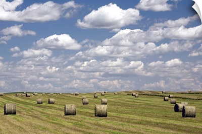 Hay Bales In Field, Alberta, Canada