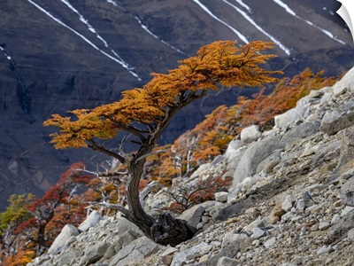 Hiking Trail To Mirador De Las Torres, Torres Del Paine National Park, Patagonia, Chile