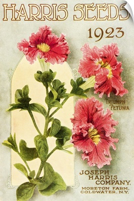 Historic Harris Seeds catalog with Triumph Petunia flower from 20th century