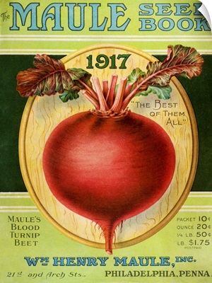 Historic Maule's seed book with illustration of blood turnip beet from 20th century