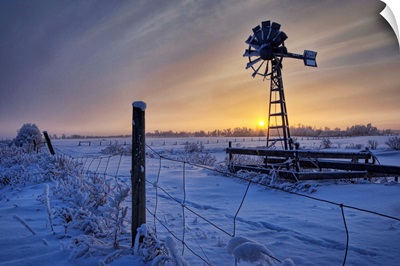 Hoar Frost On A Foggy Winter Sunset, Alberta, Canada