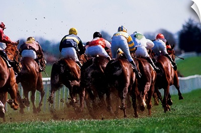 Horse Racing, Rear View Of Horses Racing