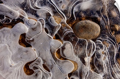 Ice forms along the shoreline of a small pond in Alaskas Tongass Forest