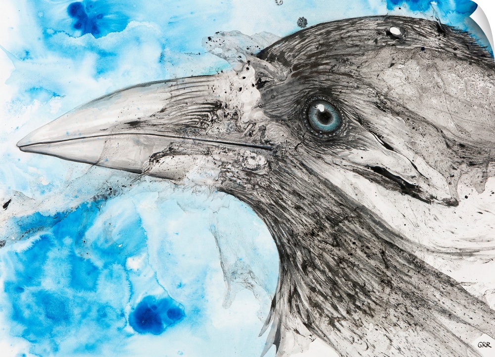 Illustration of a bird's eye and beak with mottled blue and white background.