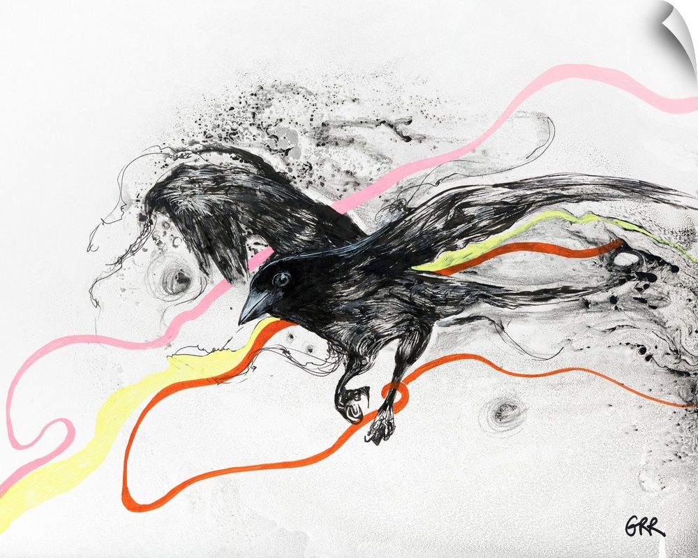 Illustration Of A Black Bird In Flight With Streaks Of Colour Running Through On A White Background.