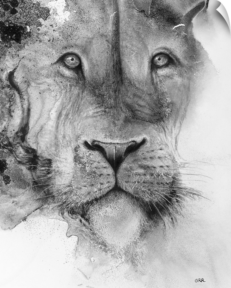 Illustration of a lion's face and a mottled background.