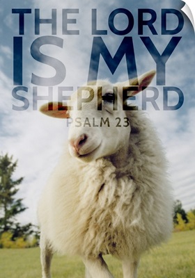 Image Of A Sheep With Scripture From Psalm 23