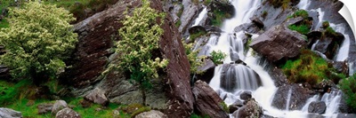 Inchquinn Waterfall, Beara Peninsula, County Kerry, Ireland