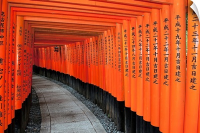 Japan, Red Columns Along Pathway, Kyoto