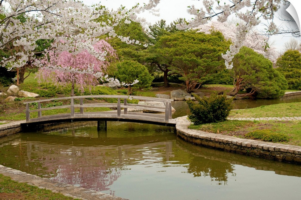 Large canvas photo art of a bridge crossing a river with flowering Japanese trees sprinkled around a garden.