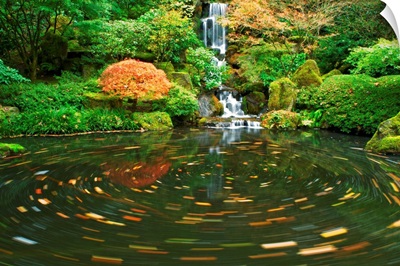 Koi Pond, Oregon