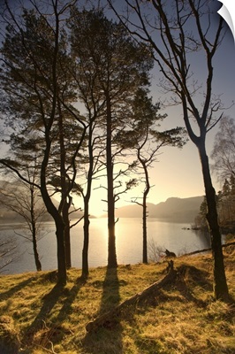 Lake Scenic At Sunrise, Cumbria, England