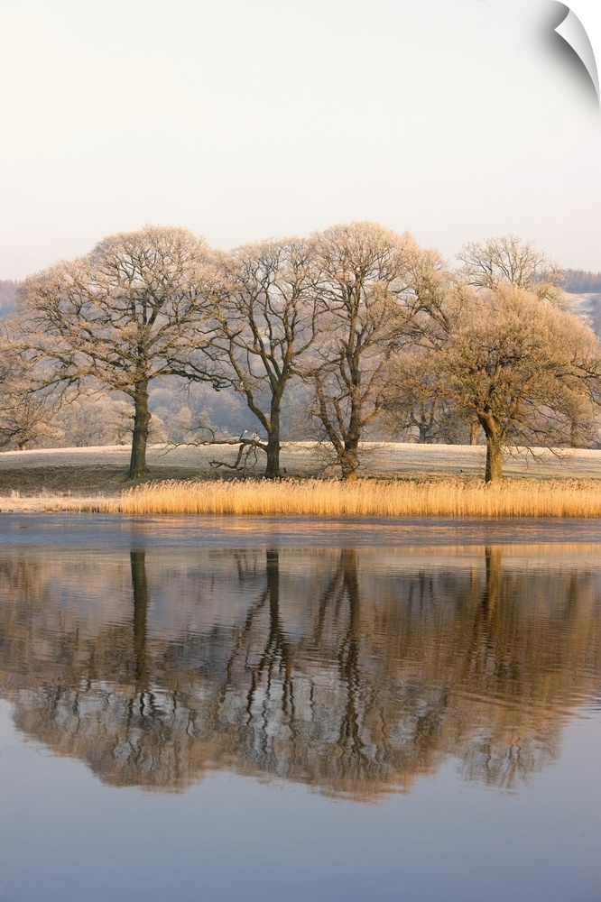 Lake Scenic With Autumn Trees Reflected In Water, Cumbria, England