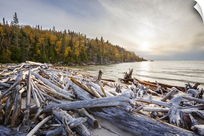 Lake Superior With Driftwood On The Beach, Ontario, Canada