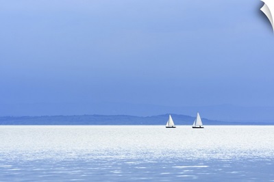 Lake With Sailboats At Weiden Am See, Lake Neusiedl, Burgenland, Austria