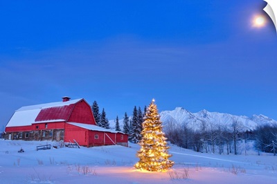 Lit christmas tree in a snow covered field standing in front of a red barn