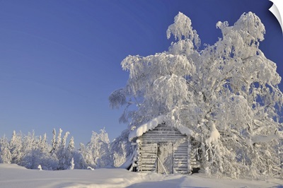 Log Cabin In Winter, Kuusamo, Northern Ostrobothnia, Finland