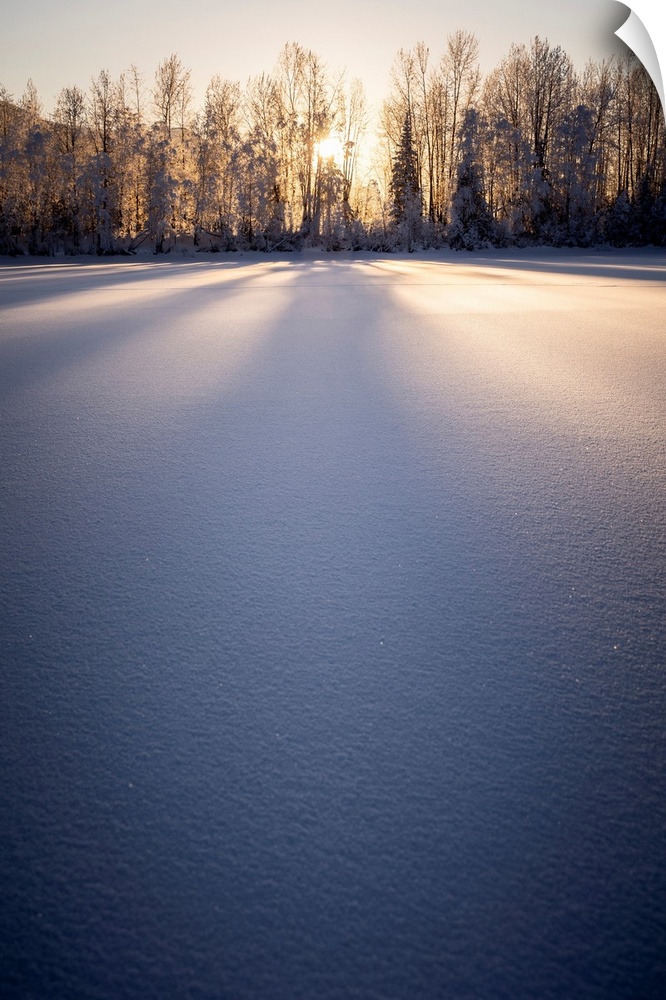 Long shadows fall on snow at sunset, palmer hay flats in Alaska, USA. Palmer, Alaska, united states of America.