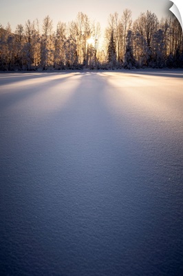 Long Shadows Fall On Snow At Sunset, Palmer Hay Flats In Alaska