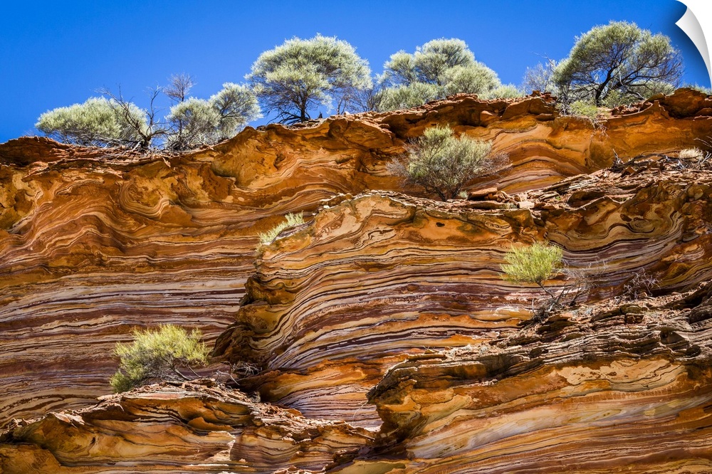 Low Angle View of Cliff and Trees, The Loop, Kalbarri National Park, Western Australia, Australia