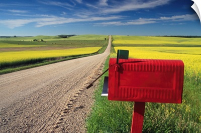 Mailbox On Country Road, Tiger Hills, Manitoba, Canada