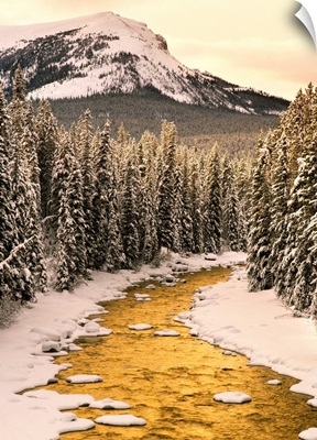 Maligne River In Winter, Jasper National Park, Alberta, Canada