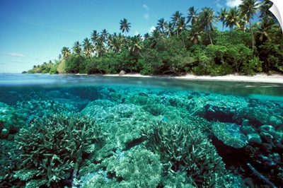 Micronesia, Caroline Islands, Pohnpei