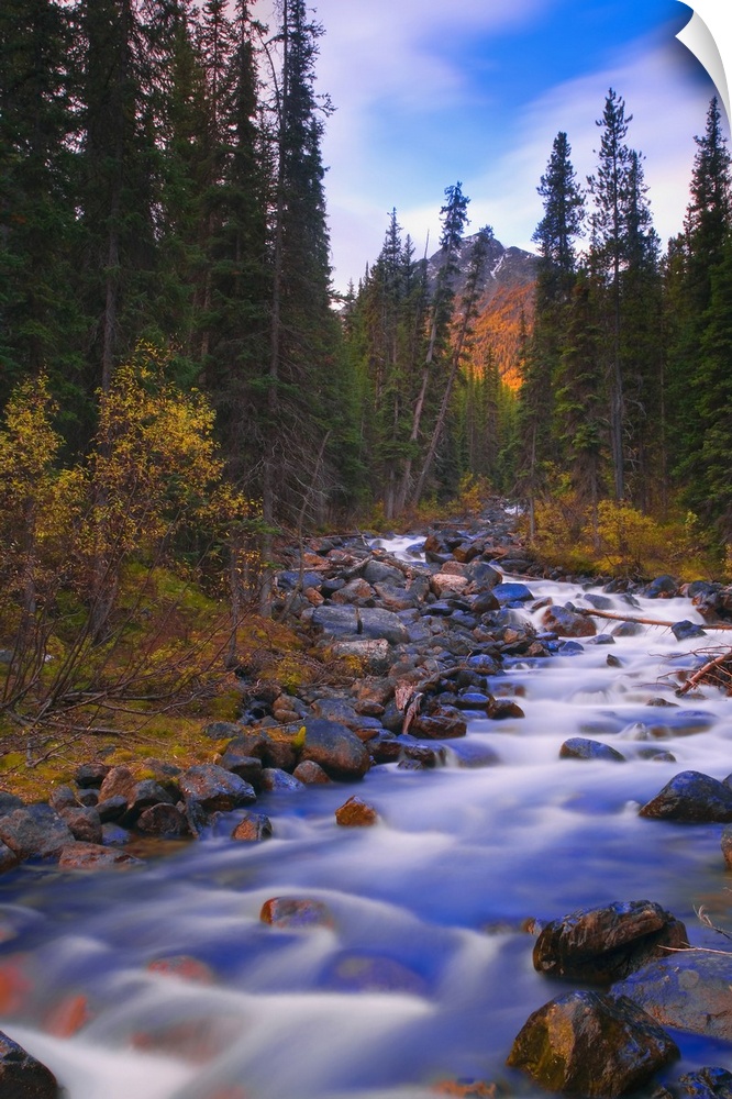 Moraine Creek, Banff National Park, Alberta, Canada