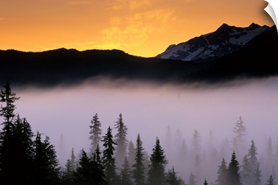 Morning Fog at Sunrise Along Snow River KP Alaska Summer Chugach
