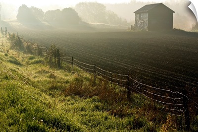 Morning Mist Over Field And Outbuilding, Bradford, Ontario, Canada