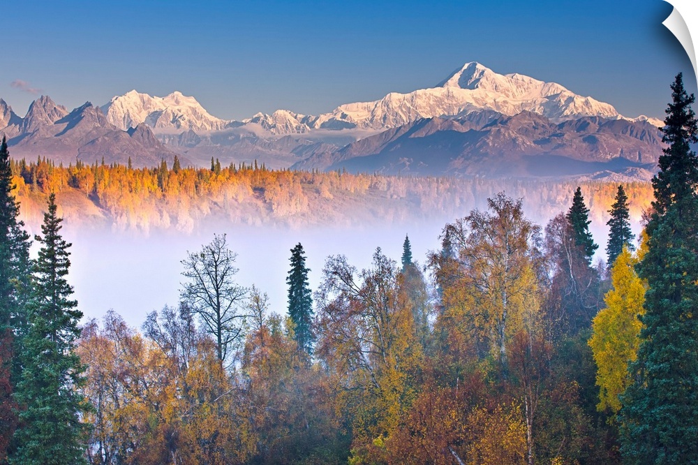 The early morning sun lights up Mount McKinley, and the Alaska range as fog covers the Chulitna River valley, photographed...
