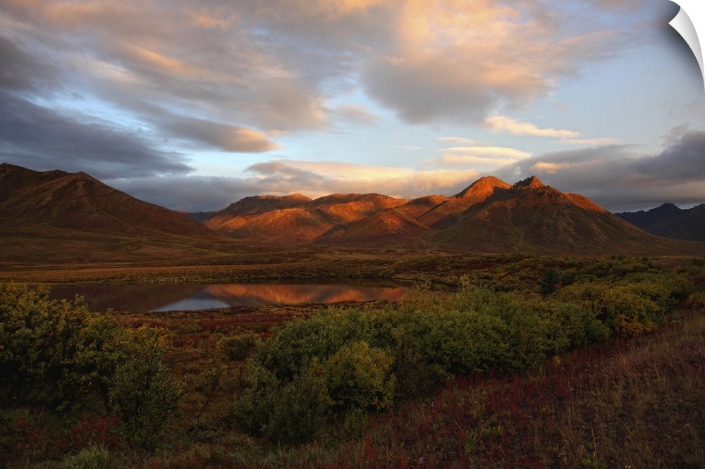 Morning Sunlight Lighting Up Mount Adney And Fall Colours Along The Dempster Highway, Yukon