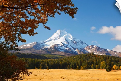 Mount Hood And Autumn Colours In Hood River Valley, Oregon, USA