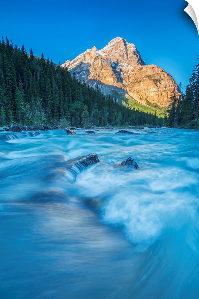 Mount Stephen lights up as the sun rises while the Yoho river flows by, Yoho National Park, Canada.