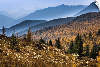 Mountain Range And Autumn Larch Along Rock Isle Trail, British Columbia, Canada