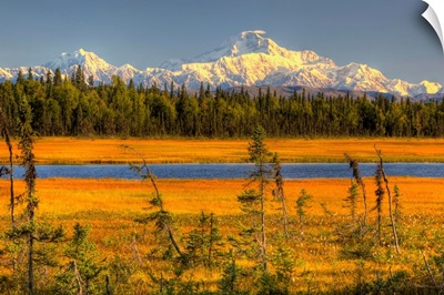Mt. McKinley At Sunset, Denali National Park, Southcentral Alaska
