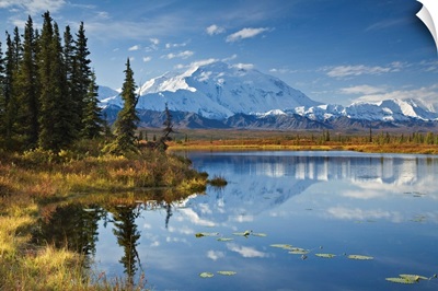 Mt. Mckinley Reflected In Tundra Pond, Denali National Park, Alaska