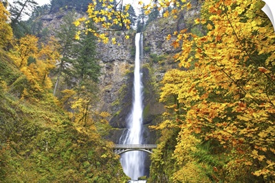 Multnomah Falls In Autumn, Columbia River Gorge, Oregon