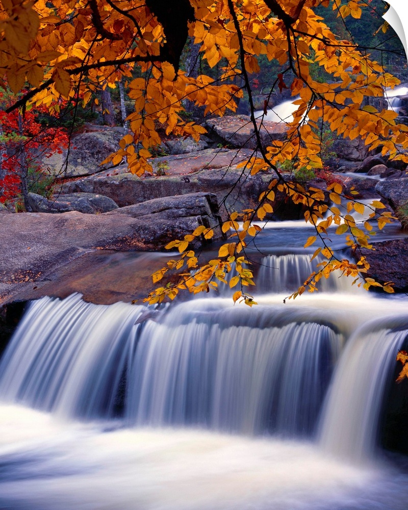 Fall scene with a waterfall under a branch full of orange leaves.