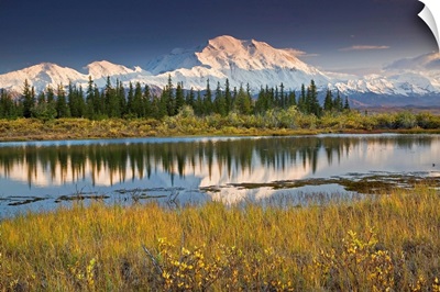 North face and peak of Mt. Mckinley reflected in tundra pond in Denali National Park