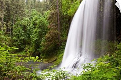 North Middle Falls In Silver Falls State Park; Oregon