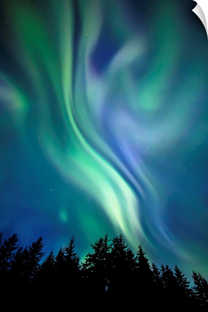 Northern Lights, Tongass National Forest, near Juneau; Alaska, United States of America.