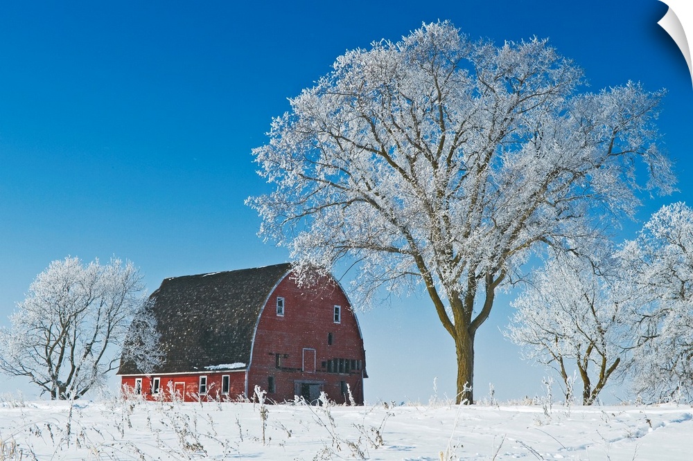 Old Red Barn In Winter, Near Oakbank, Manitoba, Canada