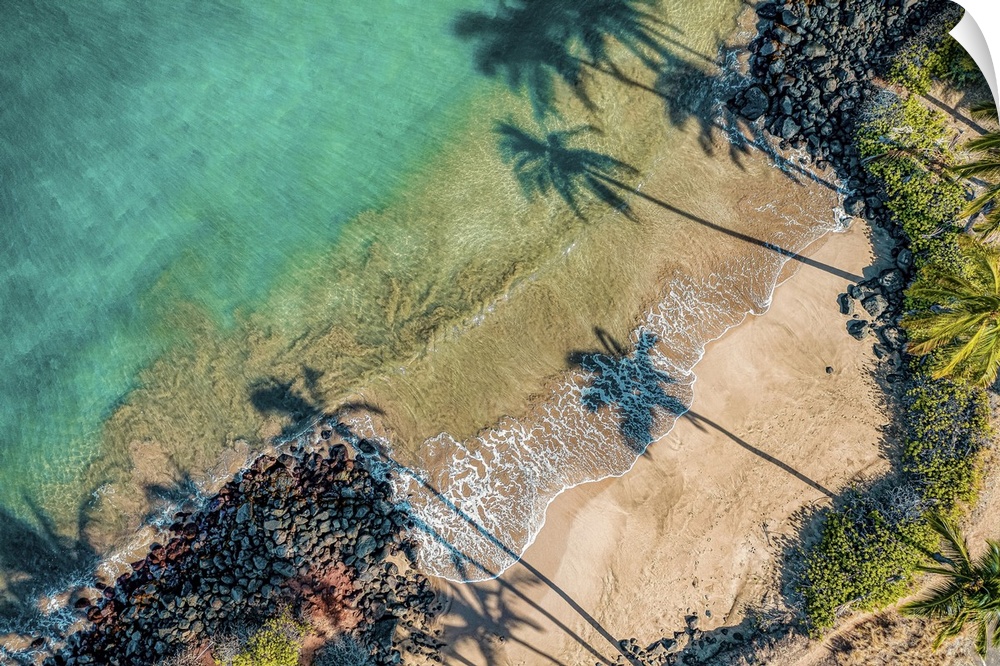 Aerial view of palm tree shadows on the sand of a tropical beach at the water's edge. Kihei, Maui, Hawaii, united states o...