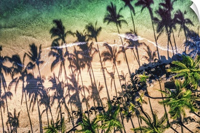 Palm Tree Shadows On The Sand Of A Tropical Beach, Water's Edge, Kihei, Maui, Hawaii