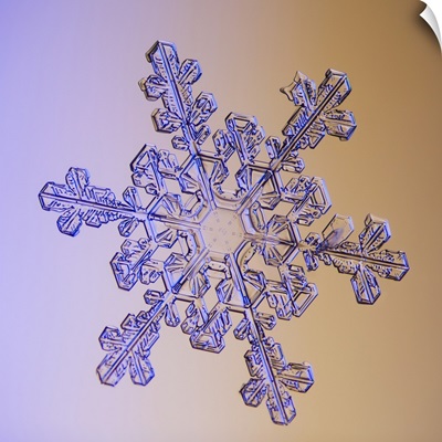 Photomicroscopic close up of a snowflake crystal