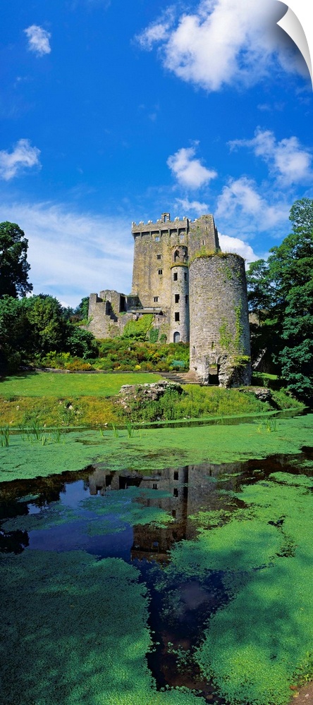 Pond In Front Of A Castle, Blarney Castle, County Cork, Republic Of Ireland