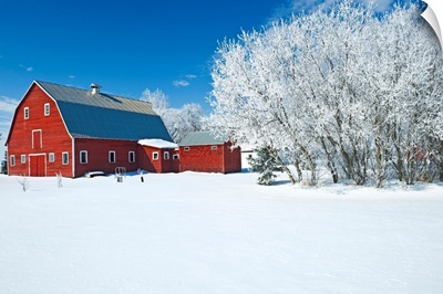 Red Barn, Winter, Grande Pointe, Manitoba, Canada